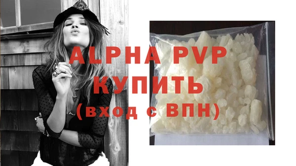 амф Гусиноозёрск