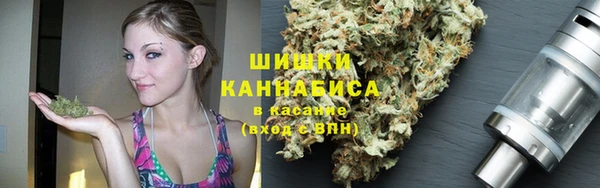 амф Гусиноозёрск