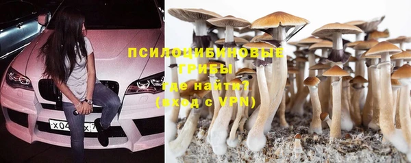 марки lsd Гусь-Хрустальный