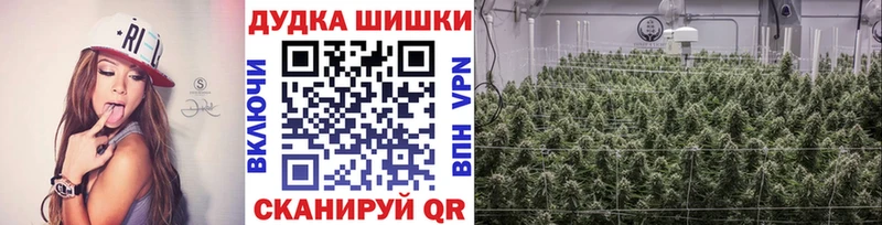 Бошки марихуана ГИДРОПОН  Купить закладки  Верхний Тагил 