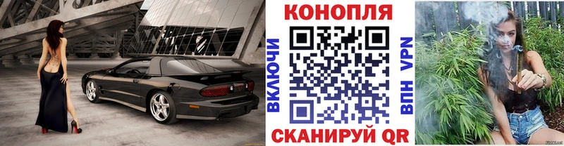 Бошки марихуана VHQ Верхний Тагил